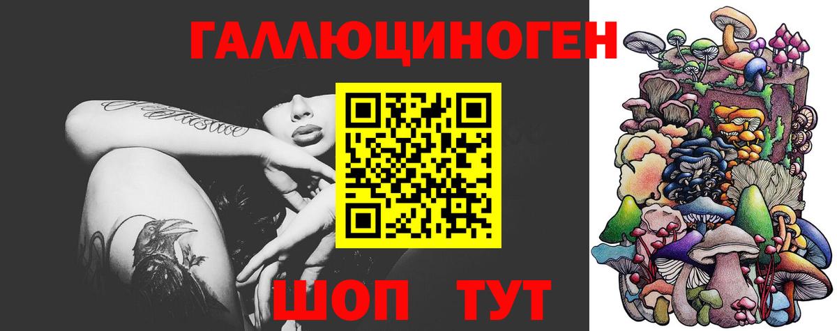 Камышлов  Галлюциногенные грибы Cubensis  Галлюциногенные грибы Psilocybe  Вход с VPN 