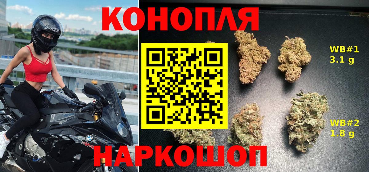 Бошки марихуана Ganja Камышлов