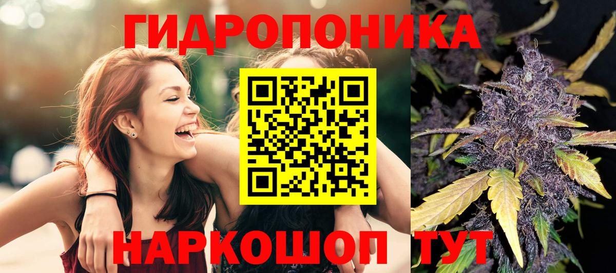 Каннабис Bruce Banner  Вход с VPN  МАРИХУАНА OG Kush  Конопля Ganja  Камышлов 